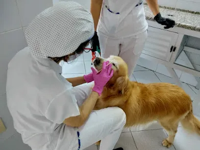 Foto de A RENOVE & PetDOC Odontologia Veterinária e Clínica Geral Marcação: WHATSAPP (71) 99973- 0130, uma clínica veterinária em Bahia