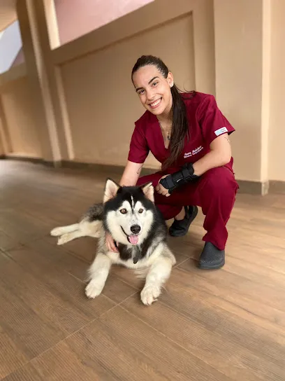 Foto de A.C.Care Assistência Veterinária, uma clínica veterinária em Amapá