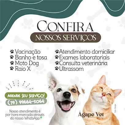 ÁGAPE VET - Consultório Veterinário e Pet Shop en Agreste Paraibano