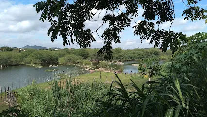 Foto de Agronova, uma clínica veterinária em Sertões Cearenses