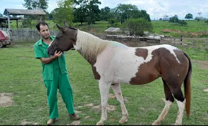 Imagem do melhor veterinário em Brasiléia