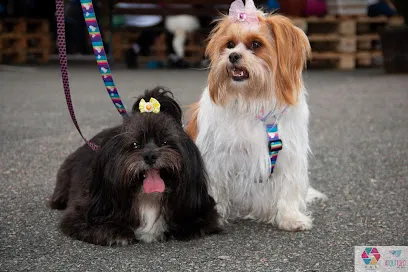 Ai Que Fofo Pet Shop e Clínica Veterinária en Paraná