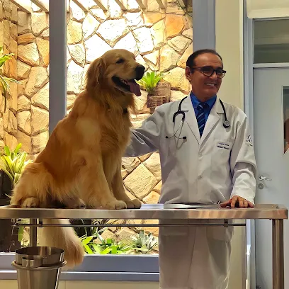 Foto de Almir Tavares | Hospital Veterinário em Maceió | Veterinários 24 Horas, uma clínica veterinária em Leste Alagoano