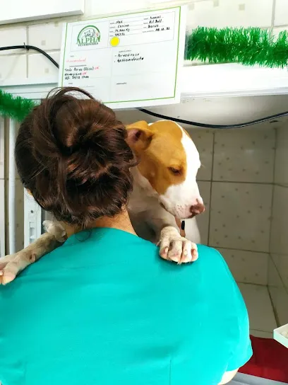 Alpha - Hospital Veterinário 24h en Metropolitana de São Paulo