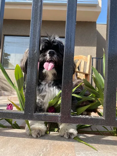 Imagem em destaque de AME VET - Clínica Veterinária, uma clínica veterinária em Adamantina