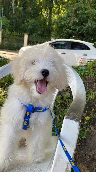 Amigo Fiel Centro Veterinário en Pará