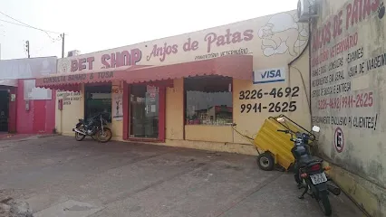 Amigos de Patas en Rio Branco