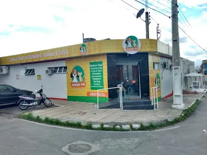 Amigos Pet Clinica en Vale São-Franciscano da Bahia