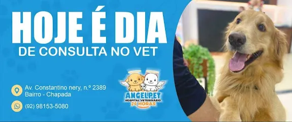 AngelPet Hospital Veterinário 24h en Manaus