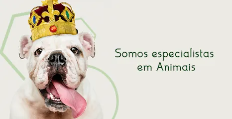 Animais Clínica Veterinária en Ribeirão Preto