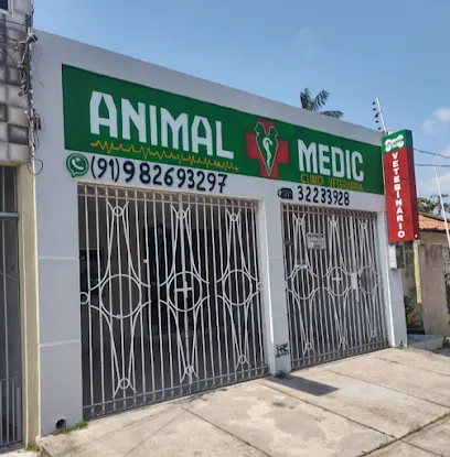 ANIMAL MEDIC en Belém