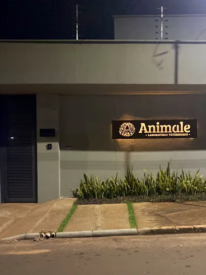 Foto de AnimaLe Laboratório Veterinário, uma clínica veterinária em Araguaína