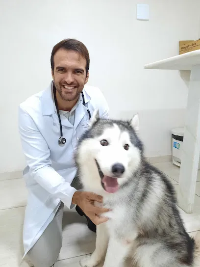 Imagem do melhor veterinário em Pernambuco