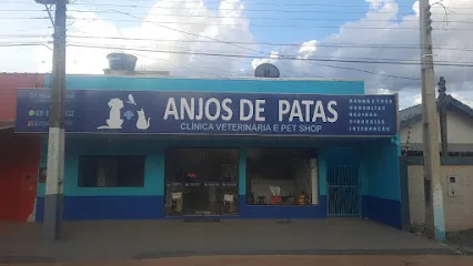 Imagem do melhor veterinário em Machadinho D'Oeste