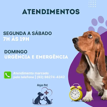 Foto de Anjos Pet (Atendimento Veterinário Em Domicílio), uma clínica veterinária em Amazonas