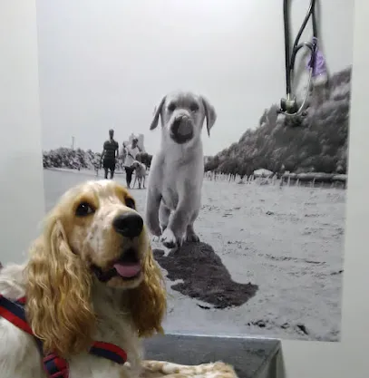 Foto de Anne+ Consultório Veterinário, uma clínica veterinária em Nordeste Baiano