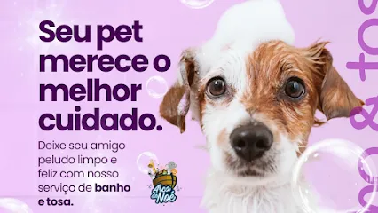 Arca de Noé Pet Care - Clinica - Banho e Tosa en Boa Vista