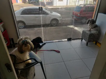 Foto de Aunivet, uma clínica veterinária em Abel Figueiredo