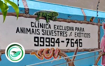 Foto de AVES VETERINÁRIA - Medicina de Animais Silvestres e Exóticos, uma clínica veterinária em Leste Sergipano