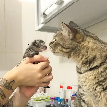 Foto de Bicho Solto Clínica Veterinária, uma clínica veterinária em Sul Espírito-santense