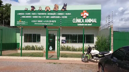 BIG PET | Maicá | Pet Shop | Rações | Medicamentos Cães e Gatos | Acessórios | Banho e Tosa | Vacinas en Santarém