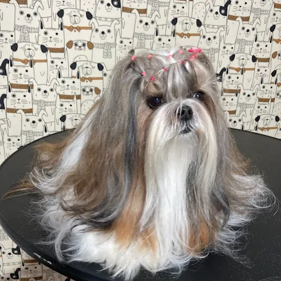 Foto de Bixo Peludo, uma clínica veterinária em Noroeste Rio-grandense