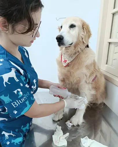 BluePet - Centro Veterinário en Sul Catarinense