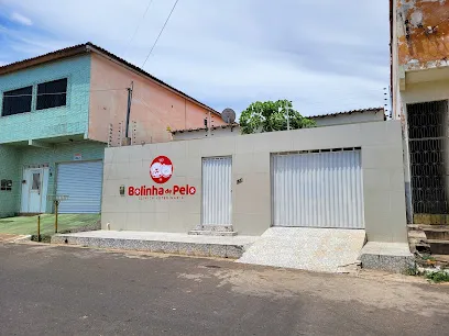 Foto de Bolinha de Pelo Clínica Veterinária, uma clínica veterinária em Sertão Pernambucano