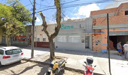 Imagem em destaque de Cane Clínica Veterinária e Laboratório, uma clínica veterinária em Centro Ocidental Rio-grandense