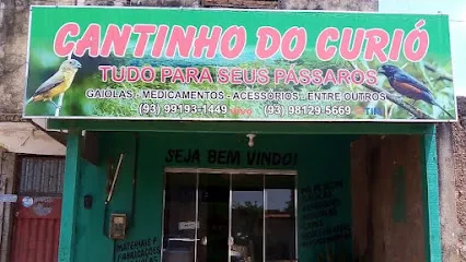 Imagem do melhor veterinário em Itaituba