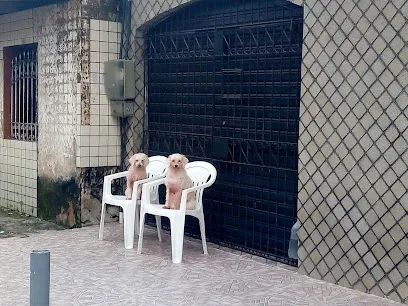 Cantinho dos Bichos en Belém