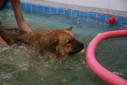 Foto de Cariri Pet, uma clínica veterinária em Agreste Pernambucano