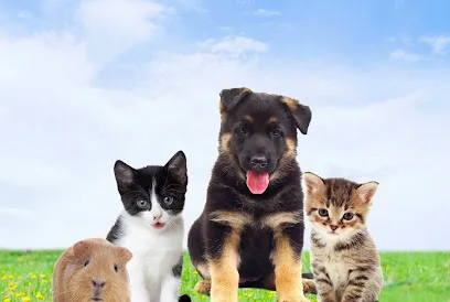 Foto de CASA MIX RAÇÕES, uma clínica veterinária em Vale do Rio Doce