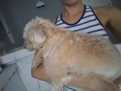 Foto de Cemeve-Centro Médico Veterinário, uma clínica veterinária em Bahia