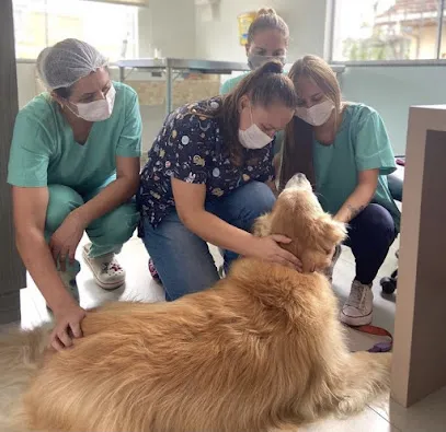 Foto de Centro Clínico Veterinário SalvaVet 24h, uma clínica veterinária em Vale do Itajaí