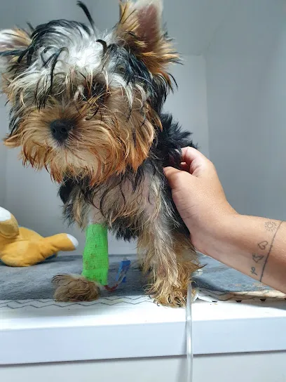 Foto de CENTRO DE ATENÇÃO A SAUDE ANIMAL - CASA, uma clínica veterinária em Metropolitana de Fortaleza