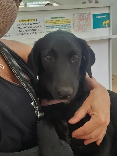 Foto de Centro de Castrações de Carazinho, uma clínica veterinária em Noroeste Rio-grandense