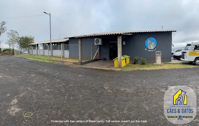 Foto de Centro de Recuperação de Cães e Gatos, uma clínica veterinária em Norte Pioneiro Paranaense