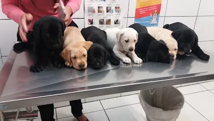 Foto de Centro Médico Veterinário Dr.Luciana Lima, uma clínica veterinária em São Paulo