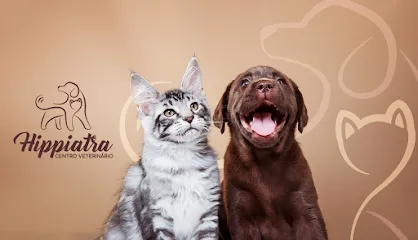 Imagem do melhor veterinário em Três Rios