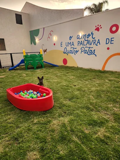 Imagem do melhor veterinário em Palmas