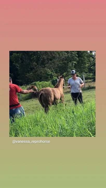 Foto de CENTRO VETERINÁRIO - PARQUE SANTA LUZIA, uma clínica veterinária em Santarém