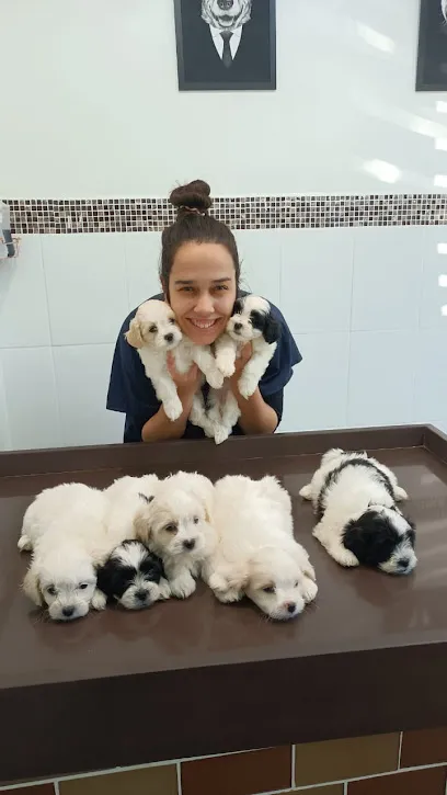 Centro Veterinário POPULAR Vila Teixeira en Campinas