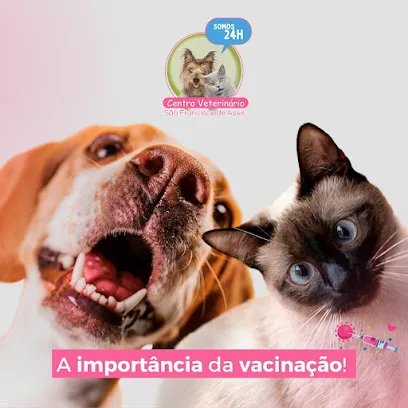 Centro Veterinário São Francisco de Assis en Agreste Pernambucano