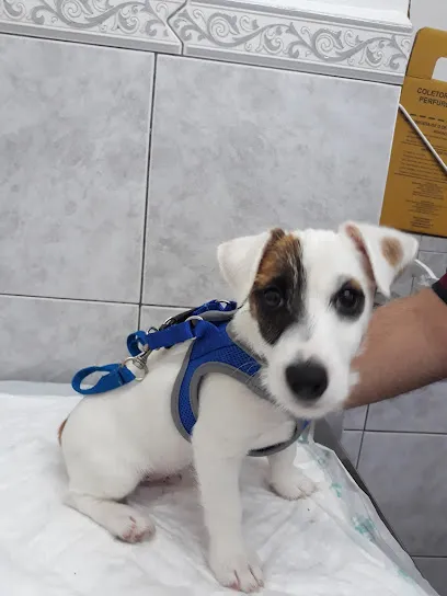 Centro Veterinario São José en Metropolitana de São Paulo