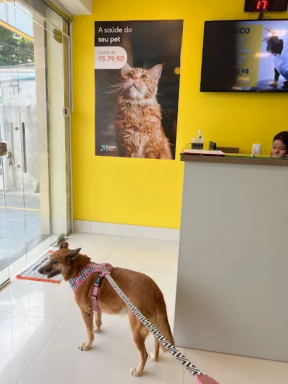 Foto de Centroprev Centro de Diagnóstico e Prevenção Animal, uma clínica veterinária em Centro Amazonense