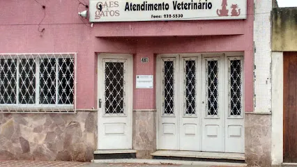 Cães & Gatos Atendimento Veterinário en Rio Grande do Sul