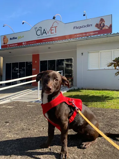 Foto de CIAVET - Centro Integrado de Atendimento Veterinário, uma clínica veterinária em Oeste Catarinense