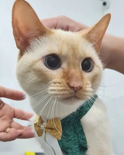 Foto de Cigavet, uma clínica veterinária em Rio de Janeiro