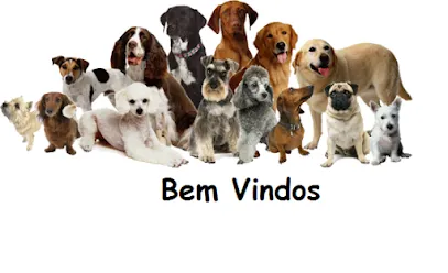 Clínica Castelo Veterinária e Banho & Tosa en Ribeirão Preto